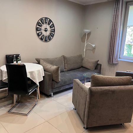 Look Of Dreams - Apartament Milowice سوسنوفييتس المظهر الخارجي الصورة