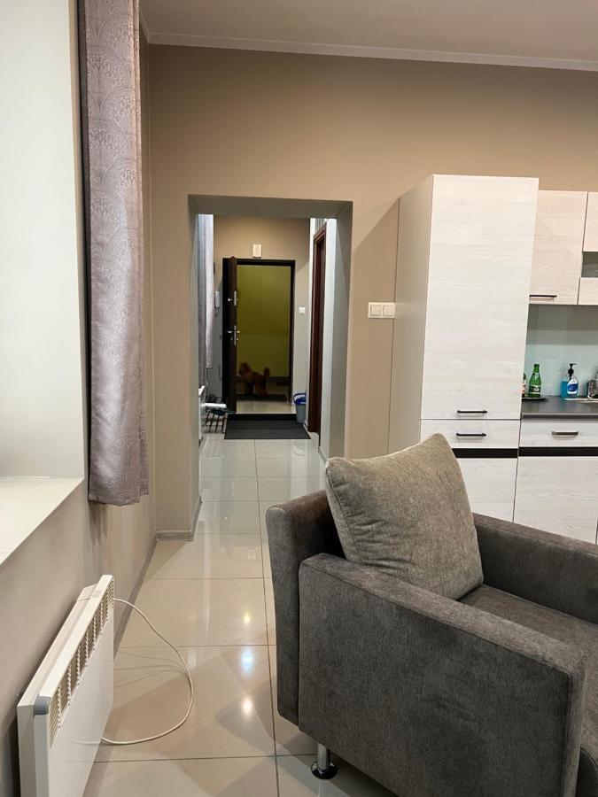 Look Of Dreams - Apartament Milowice سوسنوفييتس المظهر الخارجي الصورة