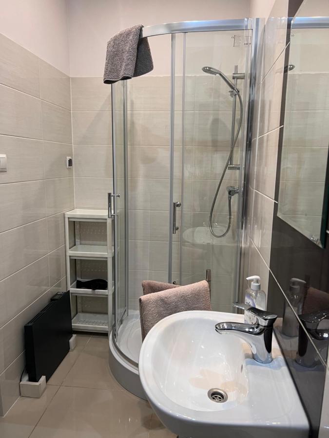 Look Of Dreams - Apartament Milowice سوسنوفييتس المظهر الخارجي الصورة